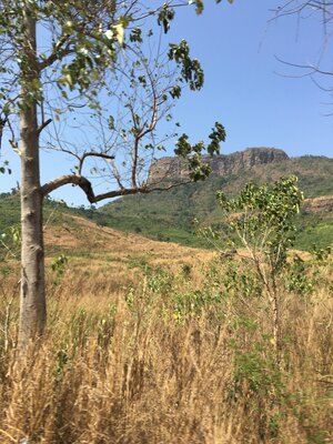 Projektreise Guinea im April 2016 – Aufnahme 15