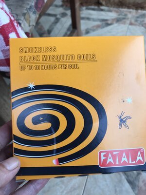 Projektreise Guinea – Aufnahme 52