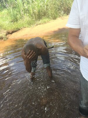 Projektreise Guinea im September 2016 – Aufnahme 12